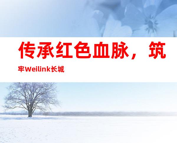 传承红色血脉，筑牢Weilink长城